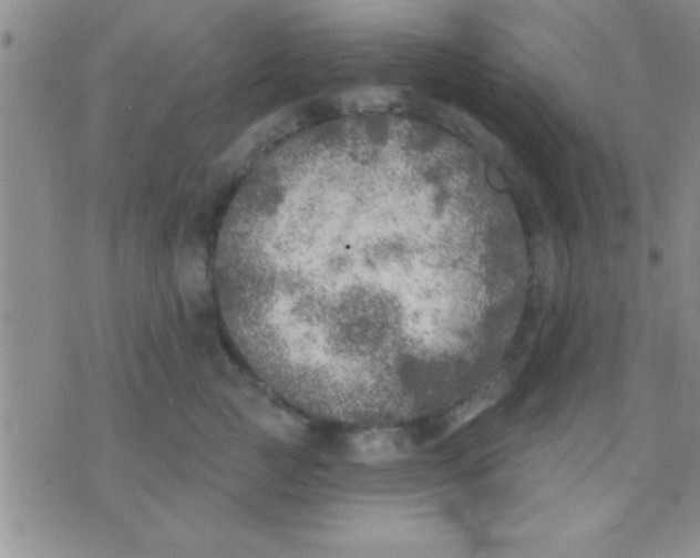 X0000071960761200607282033