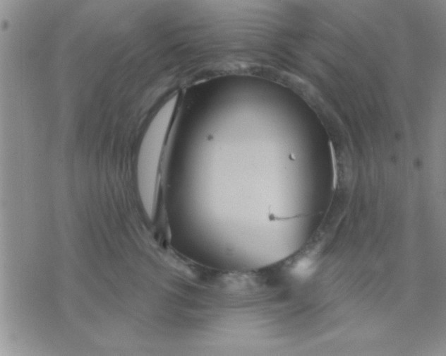 X0000071960762200607282033