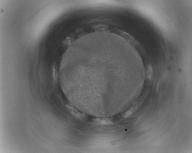 X0000071960763200607282033