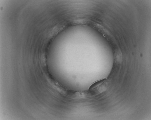 X0000071960764200607282033