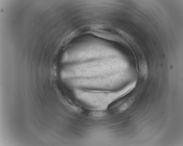 X0000071960766200607282033