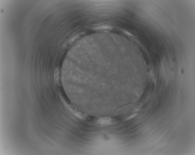 X0000071960767200607282033