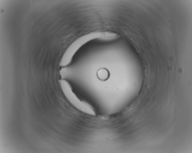 X0000071960768200607282033