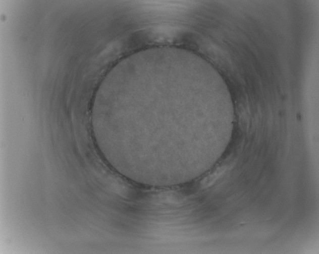 X0000071960769200607282032