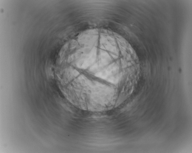 X0000071960770200607282032