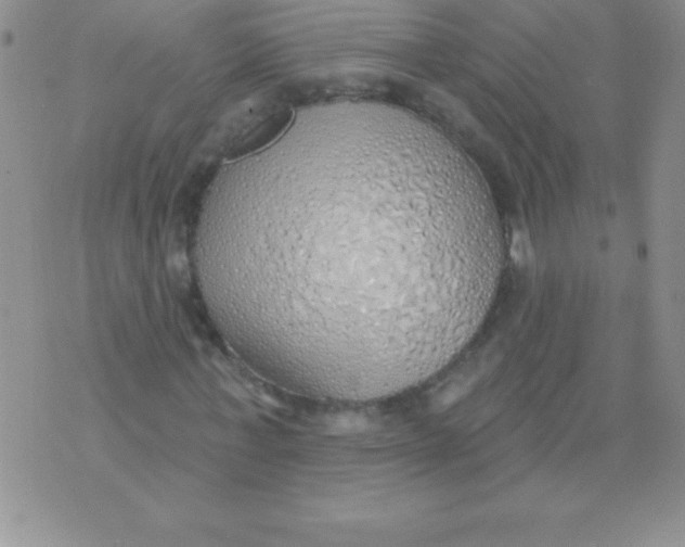 X0000071960771200607282032