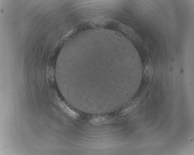 X0000071960772200607282032