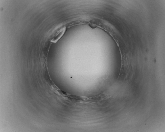 X0000071960773200607282032