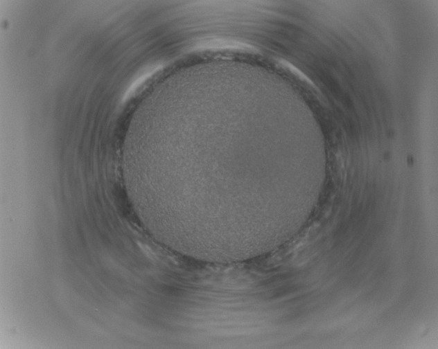 X0000071960775200607282032