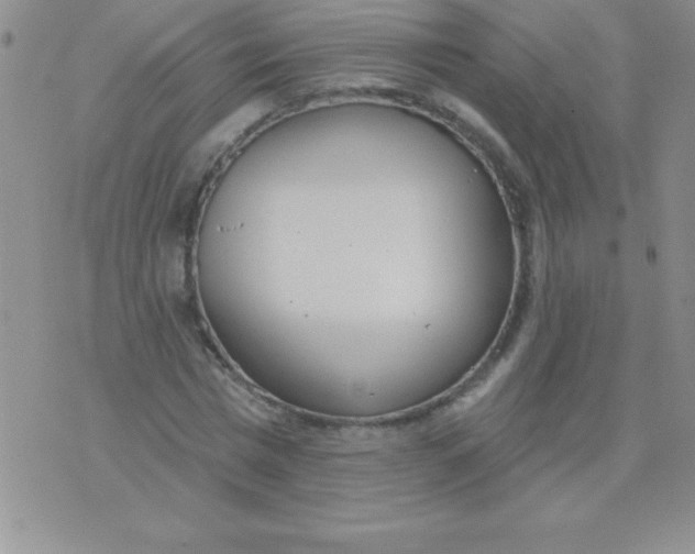 X0000071960777200607282032