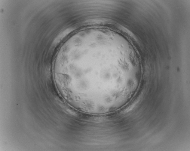 X0000071960778200607282032