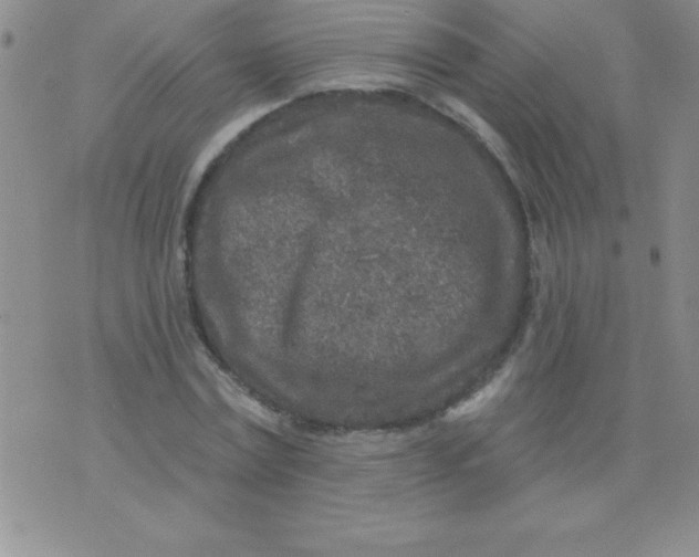 X0000071960779200607282032