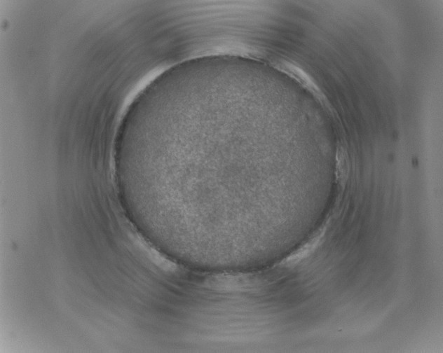 X0000071960780200607282032