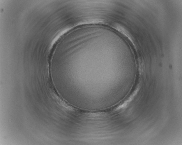 X0000071960781200607282032