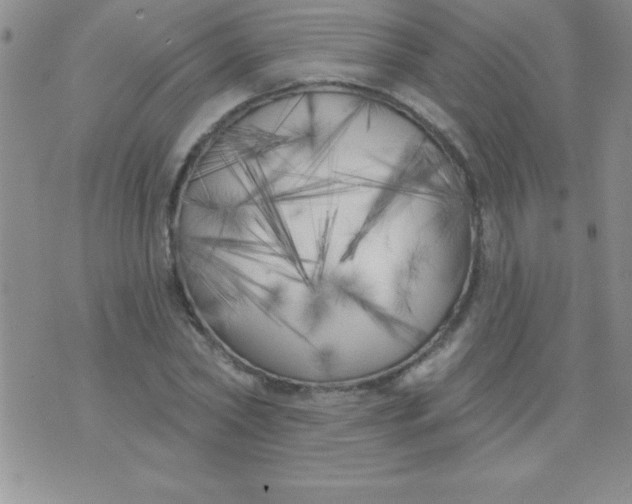 X0000071960782200607282032