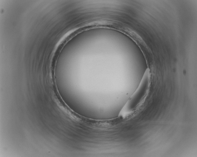 X0000071960784200607282032