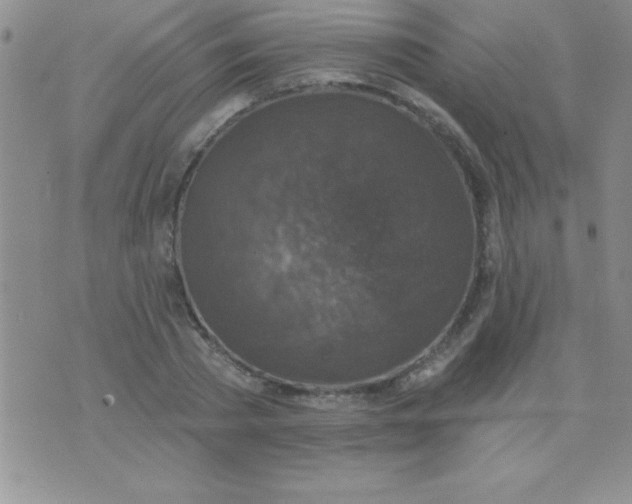 X0000071960785200607282032