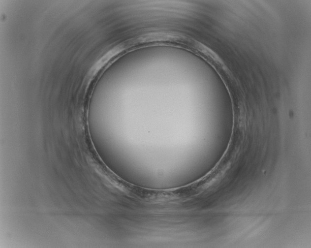 X0000071960786200607282032