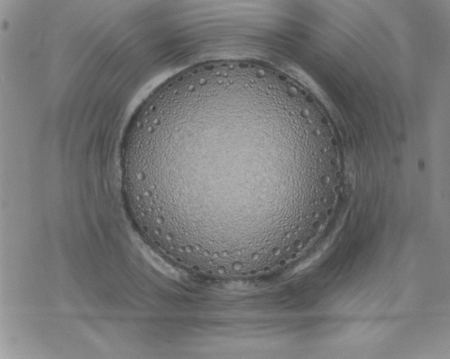 X0000071960787200607282032