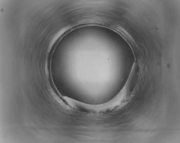 X0000071960788200607282032