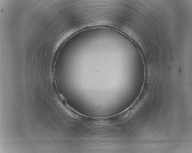 X0000071960789200607282032