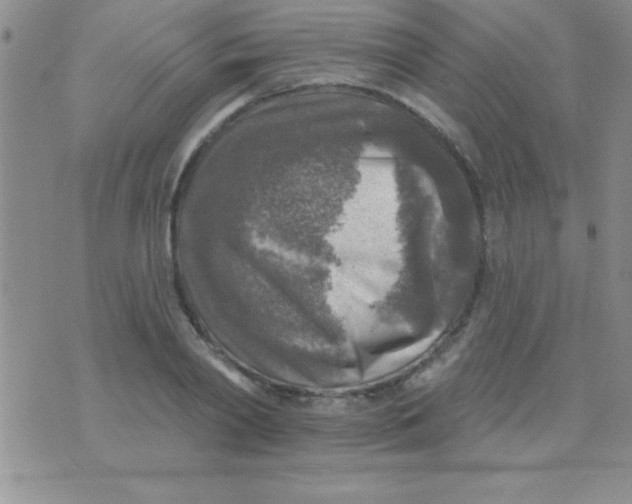 X0000071960790200607282032