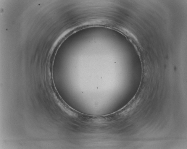 X0000071960792200607282032