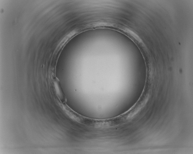 X0000071960793200607282032