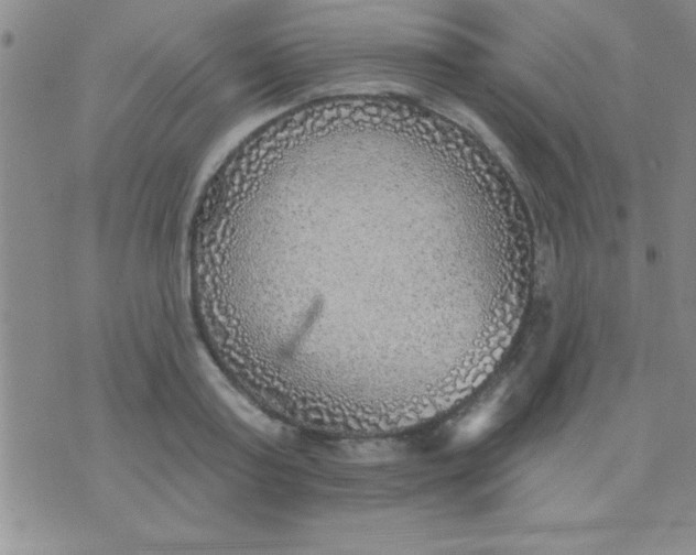 X0000071960795200607282032