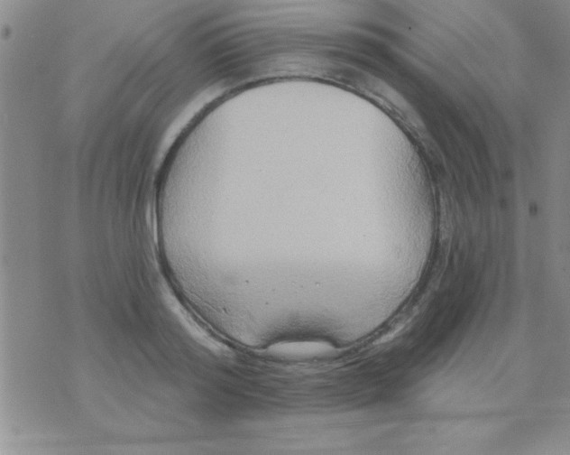 X0000071960796200607282032