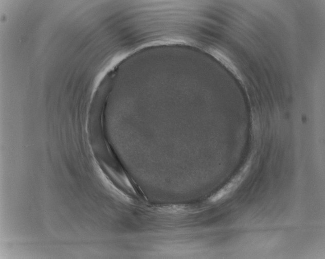 X0000071960797200607282032