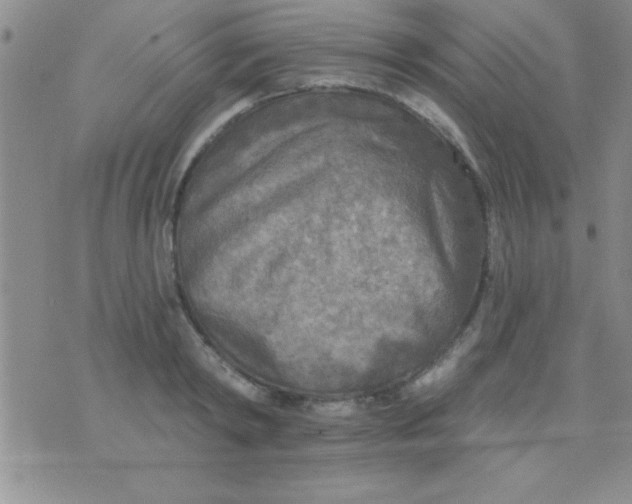 X0000071960798200607282032