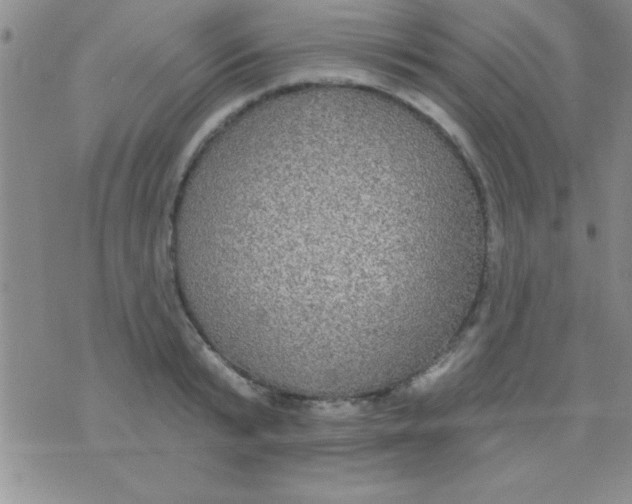 X0000071960799200607282032