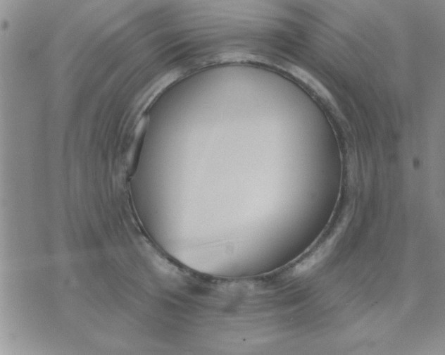 X0000071960801200607282032