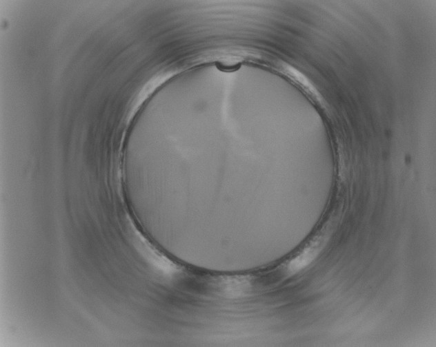 X0000071960802200607282032