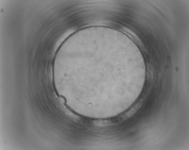 X0000071960804200607282032