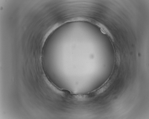 X0000071960805200607282032