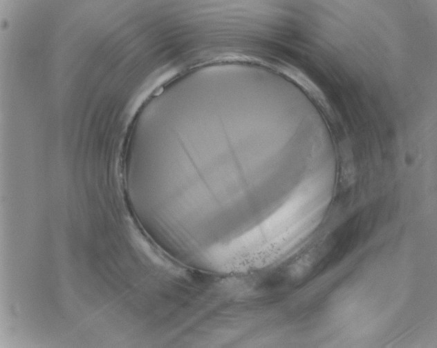 X0000071960806200607282032