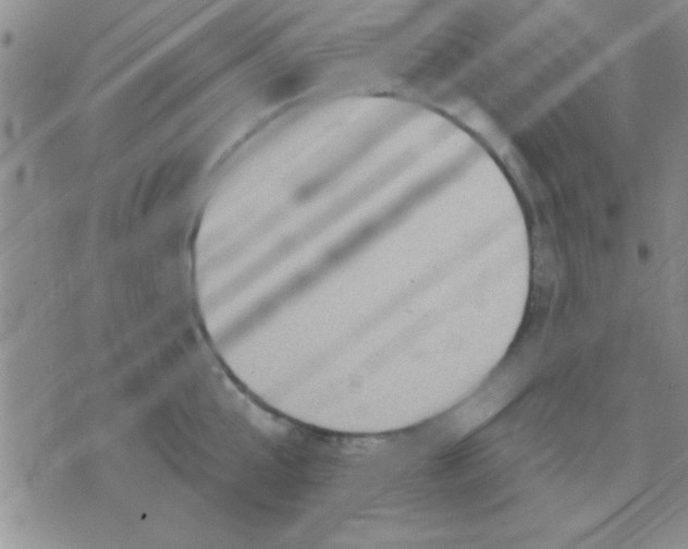 X0000071960807200607282032