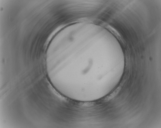 X0000071960808200607282032