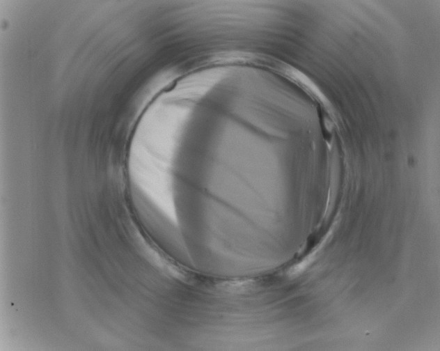 X0000071960810200607282032