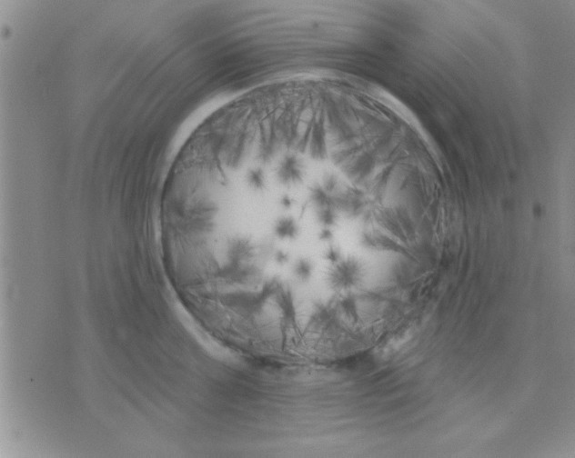 X0000071960811200607282032