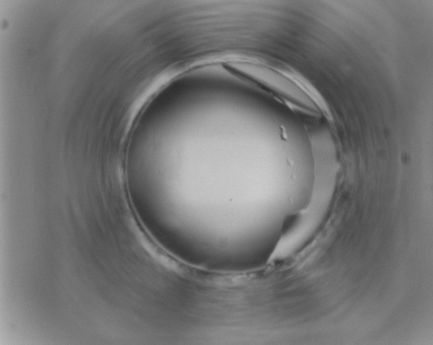 X0000071960813200607282031