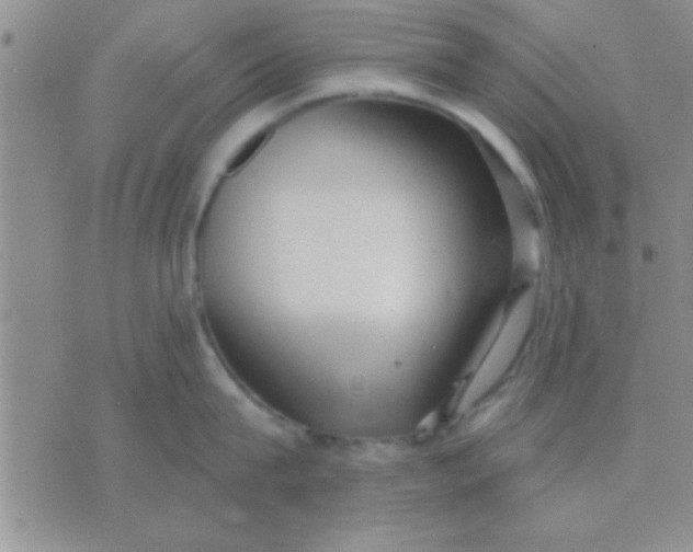 X0000071960815200607282031