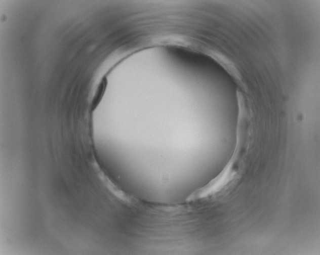 X0000071960816200607282031