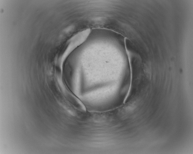 X0000071960818200607282031