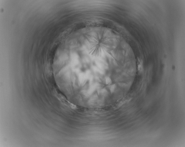 X0000071960819200607282031