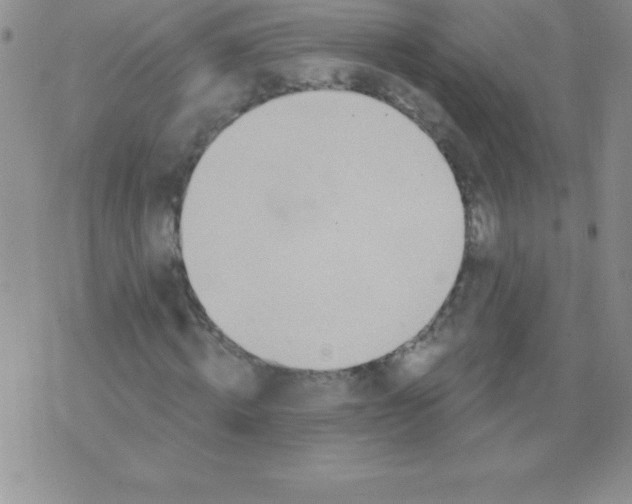 X0000071960820200607282031