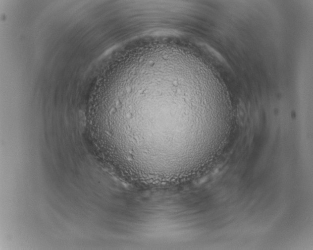 X0000071960821200607282031