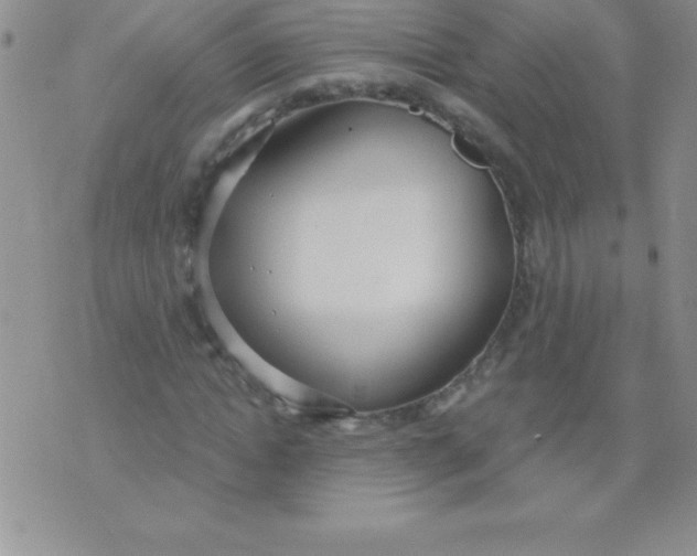 X0000071960822200607282031